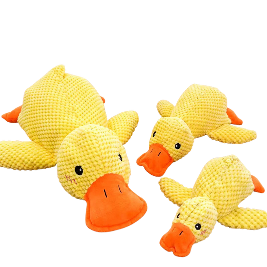 Happy Quack 🐤